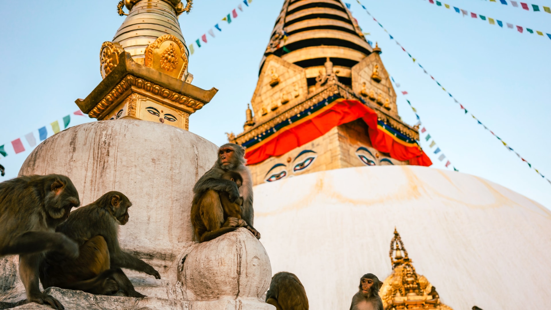 Trekking zum Everest Basislager